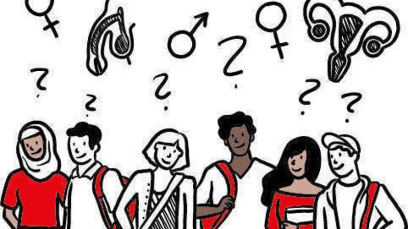 Das Bild zeigt eine Illustration von fünf jungen Menschen, die unterschiedliche Kleidung und Stile tragen und diverse ethnische Hintergründe repräsentieren. Sie tragen Rucksäcke, was darauf hindeutet, dass sie Schüler:innen oder Studierende sein könnten. Über ihren Köpfen befinden sich verschiedene Symbole und anatomische Darstellungen, die mit Geschlecht und Sexualität in Verbindung stehen, darunter: Das weibliche und das männliche Geschlechtssymbol (♀ und ♂). Anatomische Zeichnungen von Genitalien (Penis und Vulva). Eine Abbildung der Gebärmutter. Mehrere Fragezeichen, die darauf hinweisen, dass die dargestellten Personen Fragen oder Unsicherheiten zu diesen Themen haben.