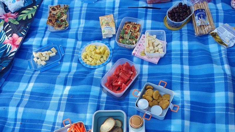 Auf dem Foto ist ein Picknick auf einer blau-weiß karierten Decke zu sehen. Es gibt verschiedene Snacks in Plastikbehältern und auf Tellern, darunter: Wassermelonenstücke Weintrauben Käsewürfel Muffins oder kleine Kuchen Cracker Gemüsesticks, wie zum Beispiel Karotten und Paprika verschiedene andere Speisen in Behältern, die man nicht genau erkennen kann.