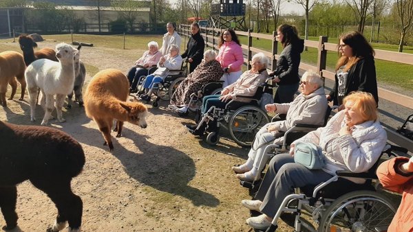 Auf diesen Bild sieht man die Bewohnerinnen und Bewohner mit den Alpakas.