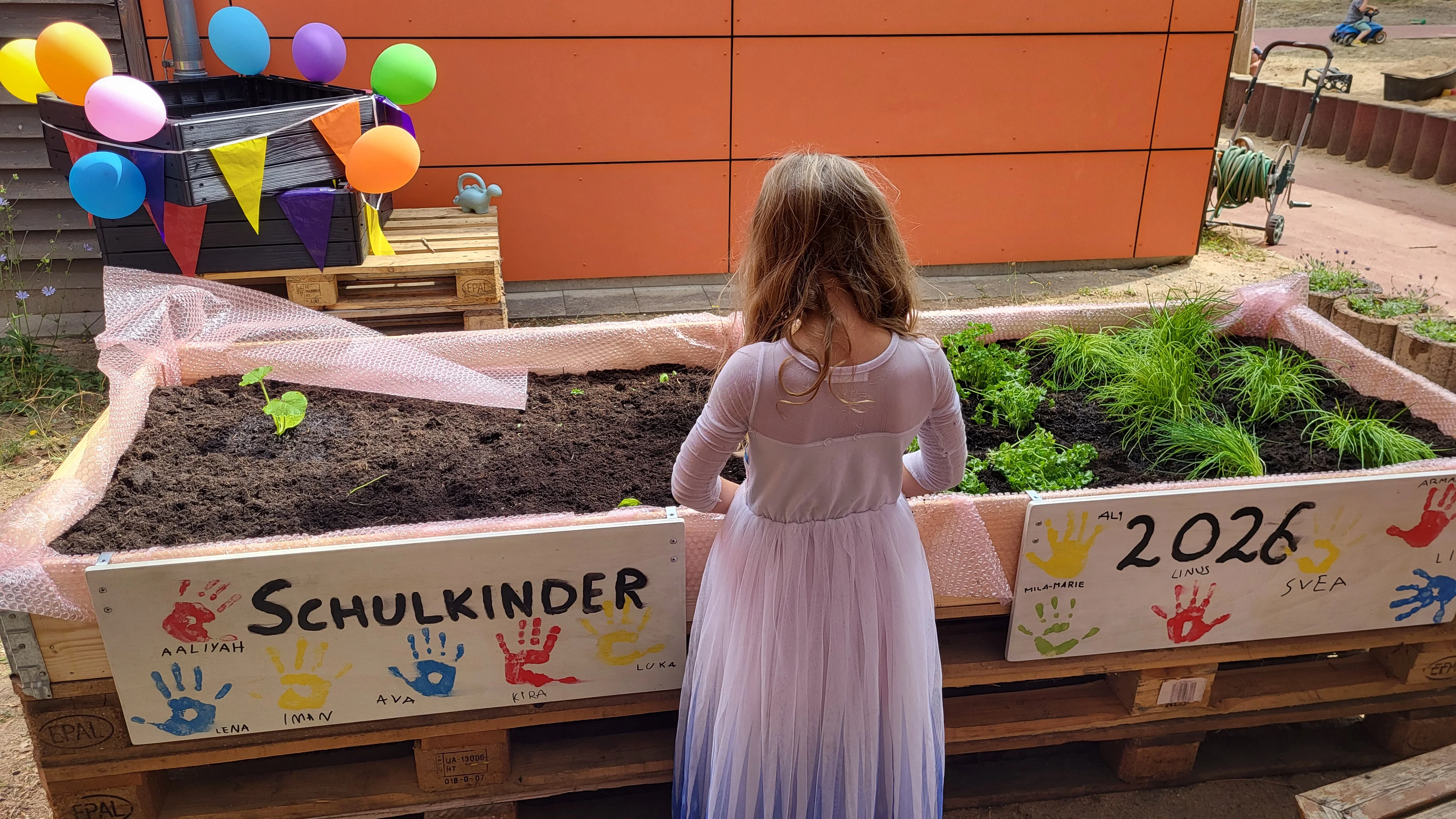 Ein Kind betrachtet ein neu angelegtes Hochbeet auf dem Außengelände. Die Pflanzkiste aus Paletten ist mit Gemüse und Kräutern bepflanzt und trägt die Aufschrift „Schulkinder 2026“ sowie bunte Handabdrücke.