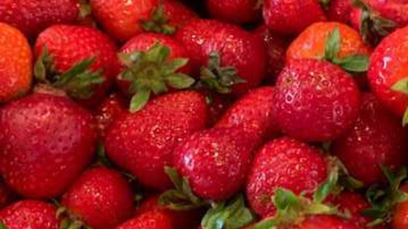 Zu sehen ist ein Sieb voller Erdbeeren.