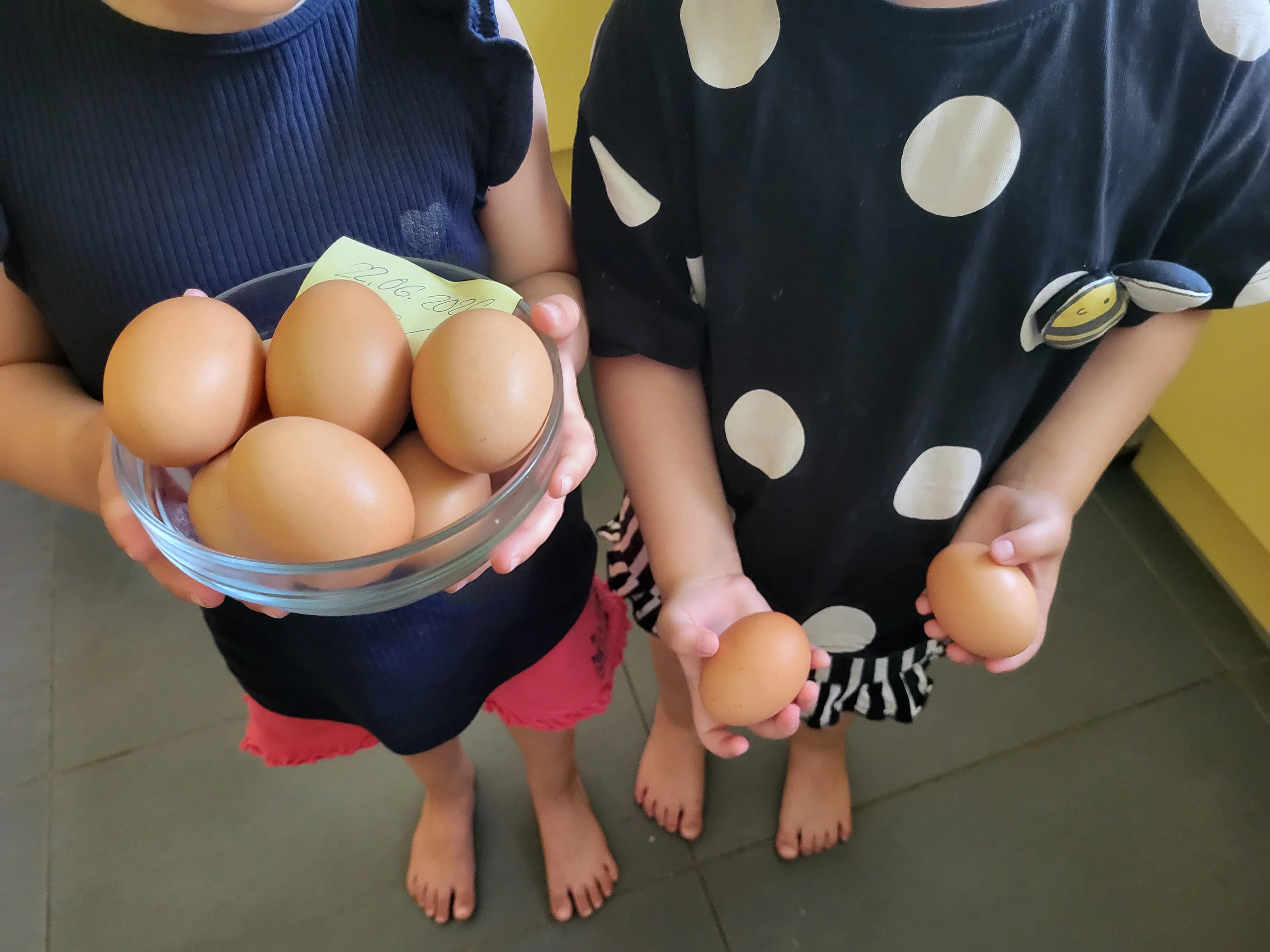 Auf dem Foto sieht man zwei kleine Kinder (nur teilweise, ohne Gesicht), die mehrere braune Eier in den Händen halten. In der Mitte hält eines der Kinder eine Glasschüssel mit weiteren braunen Eiern.