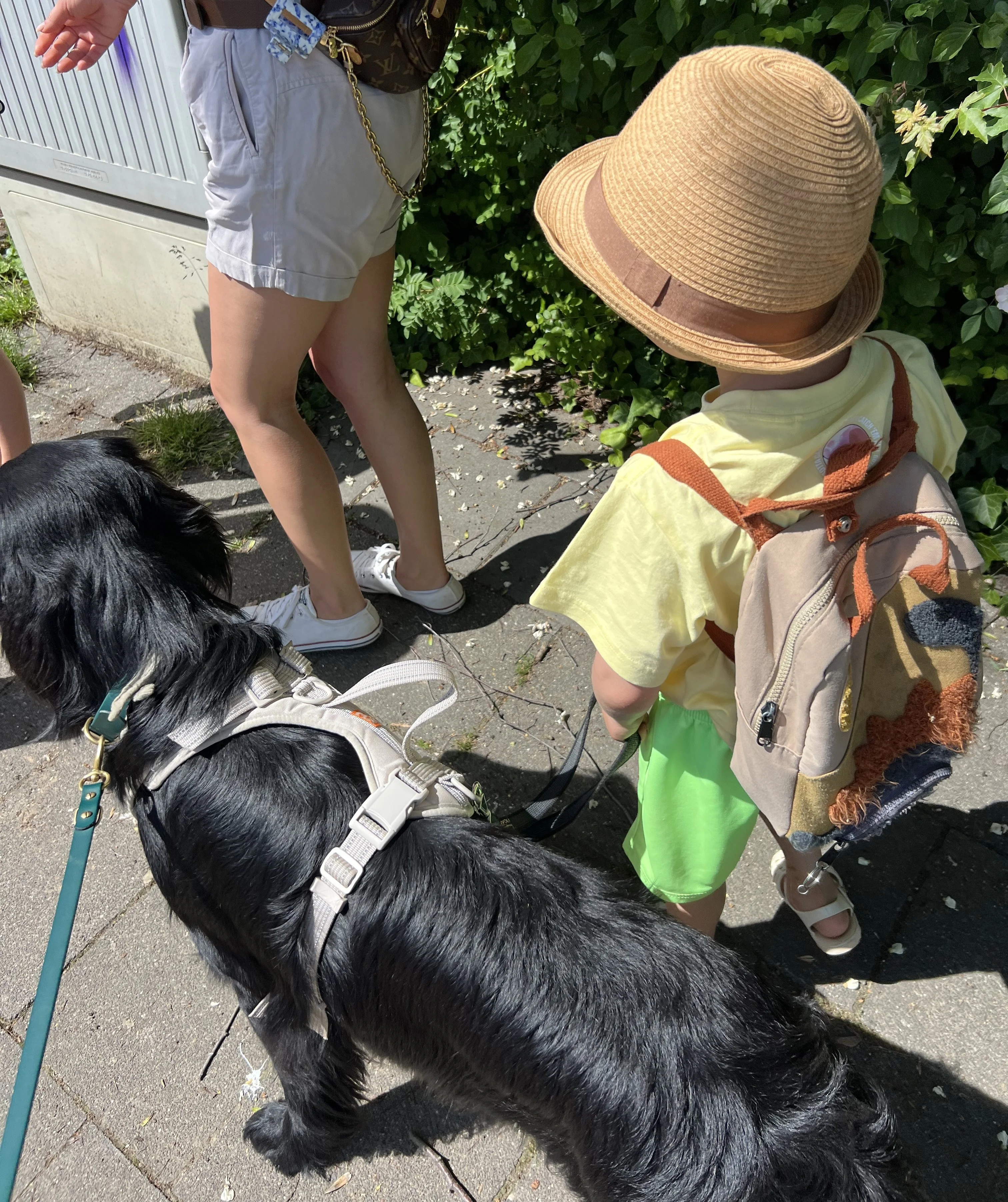 Auf dem Bild sieht man wieder den schwarzen Hund mit hellem Geschirr, der an einer Leine geführt wird. Neben dem Hund steht ein Kind mit Strohhut, Rucksack und Sandalen auf einem Gehweg, außerdem erkennt man die Beine einer weiteren erwachsenen Person in Shorts und Turnschuhen.