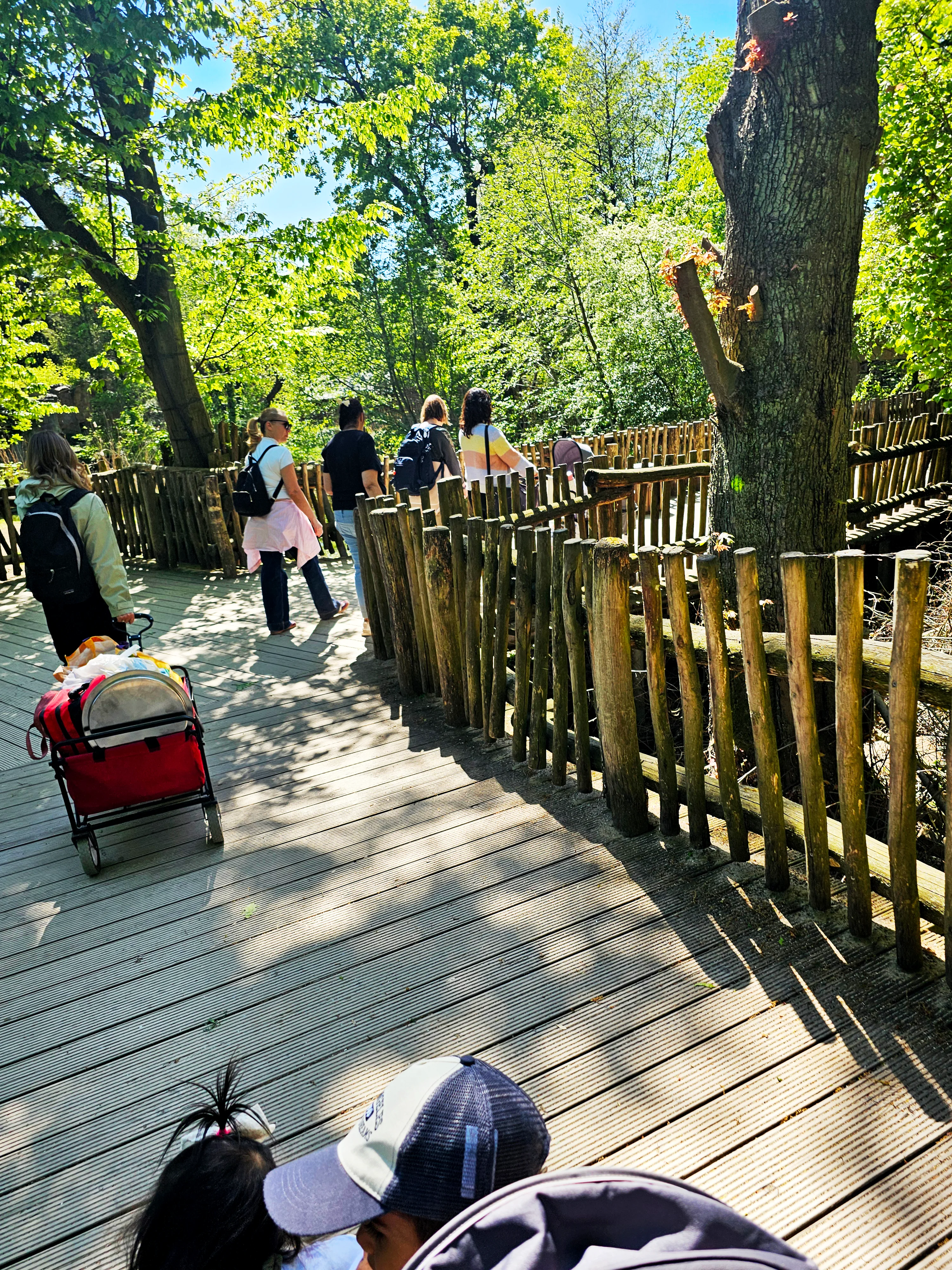 Auf dem Bild sieht man einen Holzsteg oder -weg, der durch ein grünes, baumbewachsenes Gebiet führt, vermutlich in einem Park oder Zoo. Entlang des Weges gehen mehrere Erwachsene mit Rucksäcken und Taschen, im Vordergrund sind Kinder zu erkennen, eines in einem Kinderwagen und ein roter Bollerwagen wird hinterhergezogen.