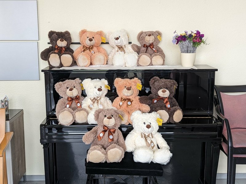 Das Foto zeigt die 20 Teddybären auf einem Klavier