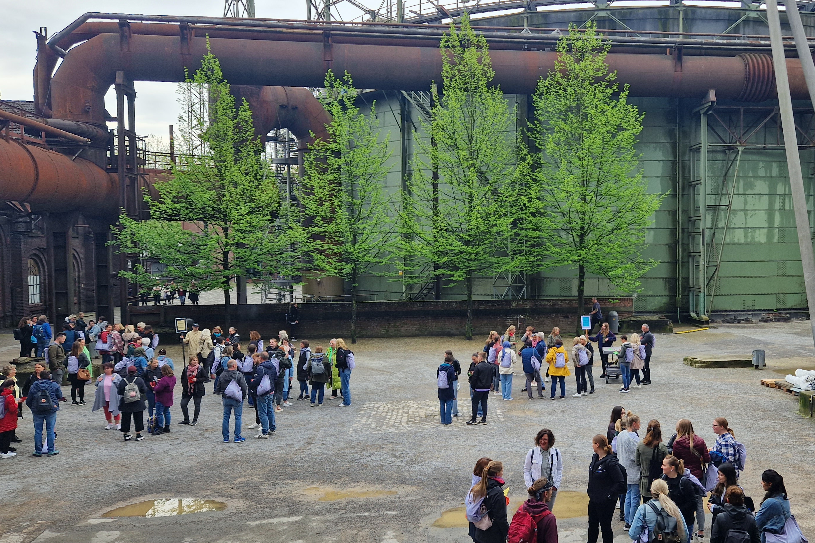 Das Foto zeigt Gruppen im Landschaftspark.