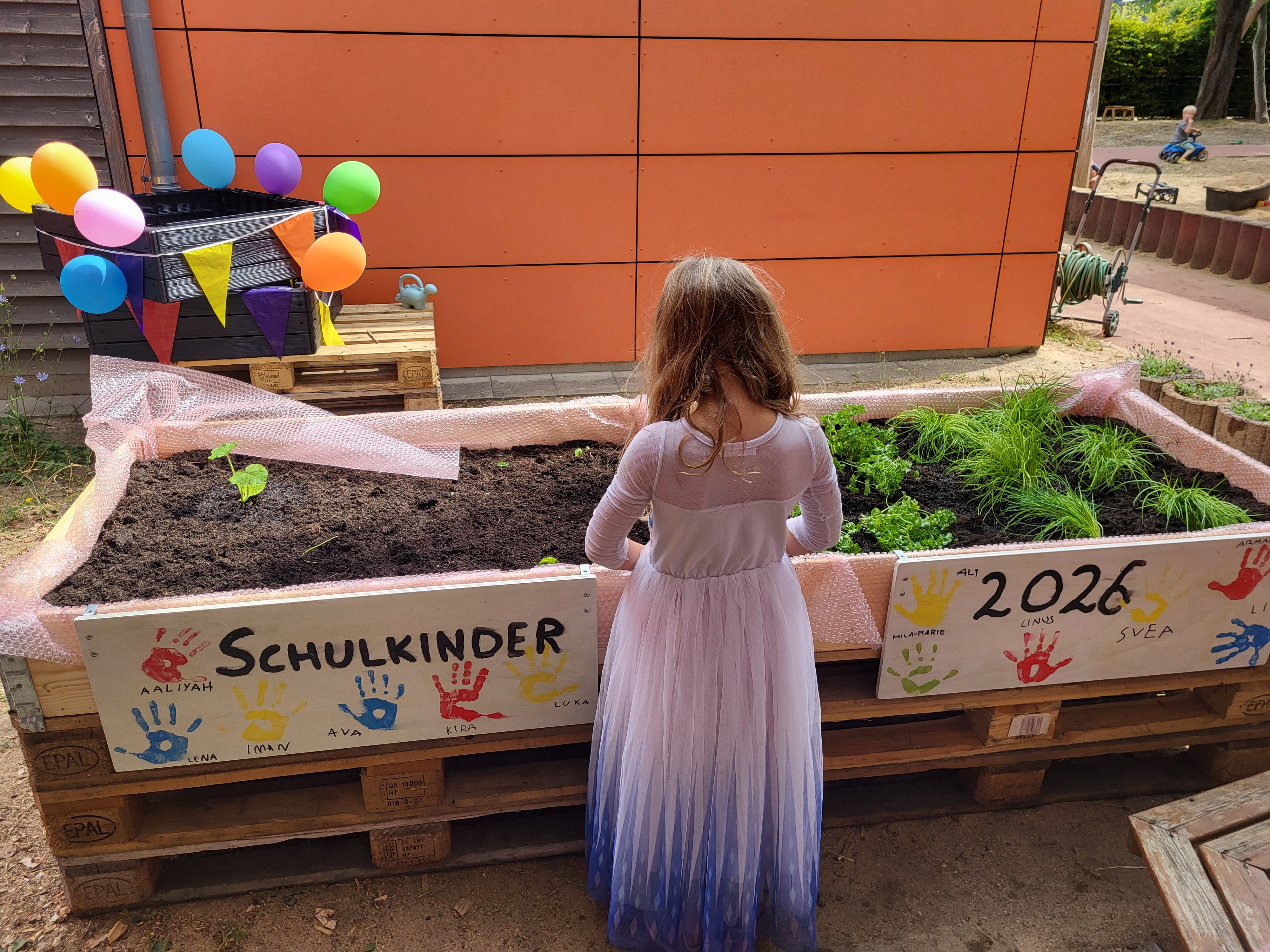 Ein Kind betrachtet ein neu angelegtes Hochbeet auf dem Außengelände. Die Pflanzkiste aus Paletten ist mit Gemüse und Kräutern bepflanzt und trägt die Aufschrift „Schulkinder 2026“ sowie bunte Handabdrücke.