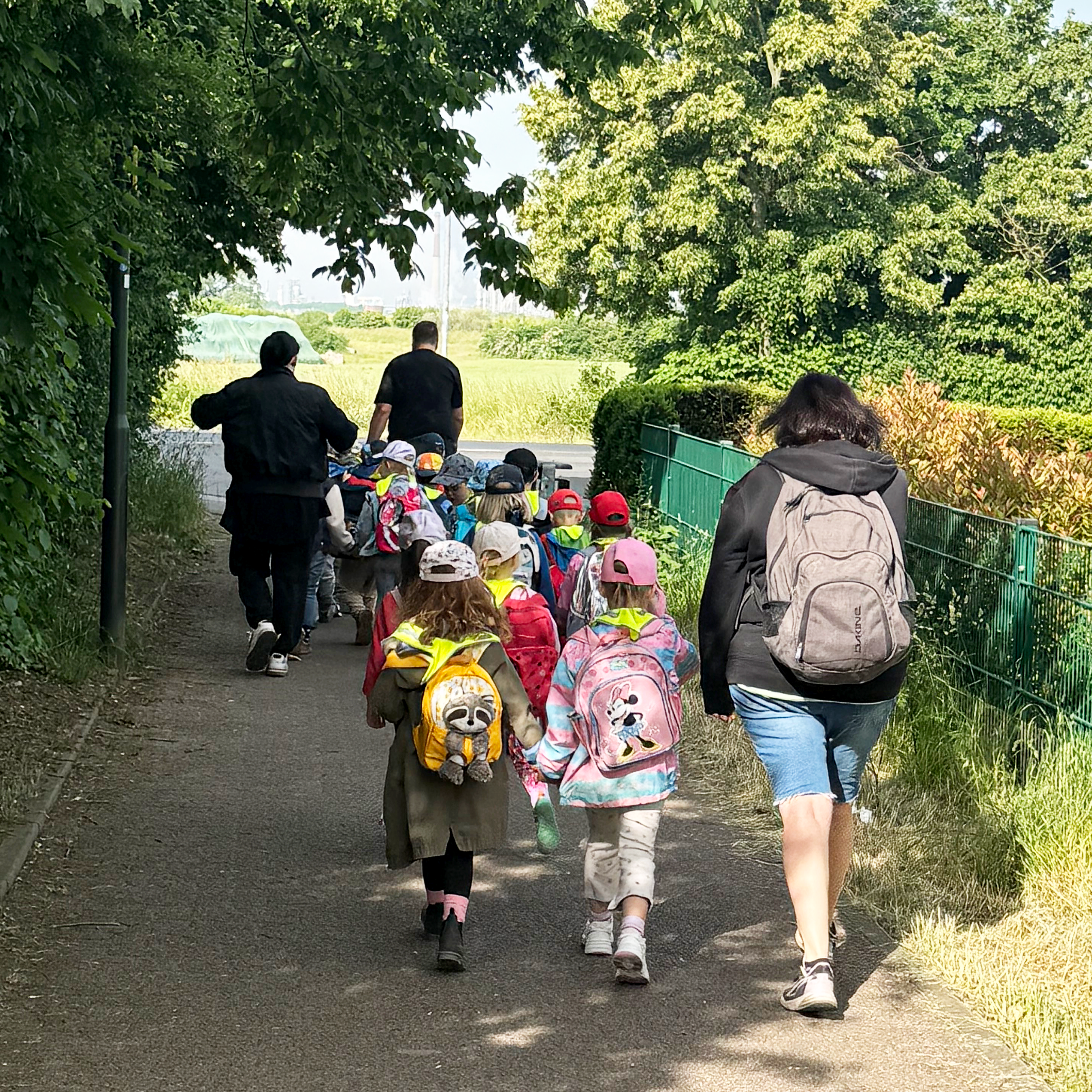 Auf dem Foto ist eine Gruppe kleiner Kinder zu sehen, die auf einem Fußweg unterwegs sind – vermutlich auf einem Ausflug oder Spaziergang. Die Kinder tragen bunte Rucksäcke (mit Motiven wie z. B. einem Faultier oder Mickey Mouse) und haben gelbe Halstücher oder Dreiecktücher um den Hals, was oft zur besseren Sichtbarkeit oder als Gruppenerkennung dient. Begleitet werden sie von mehreren Erwachsenen, die am Rand oder vorne mitgehen. Die Szene spielt sich bei sonnigem Wetter in einer ländlichen oder naturnahen Umgebung ab – es gibt Bäume, Büsche und einen Feldweg im Hintergrund. Insgesamt vermittelt das Bild den Eindruck eines gut organisierten Ausflugs, vermutlich einer Kindergartengruppe oder Vorschulklasse.